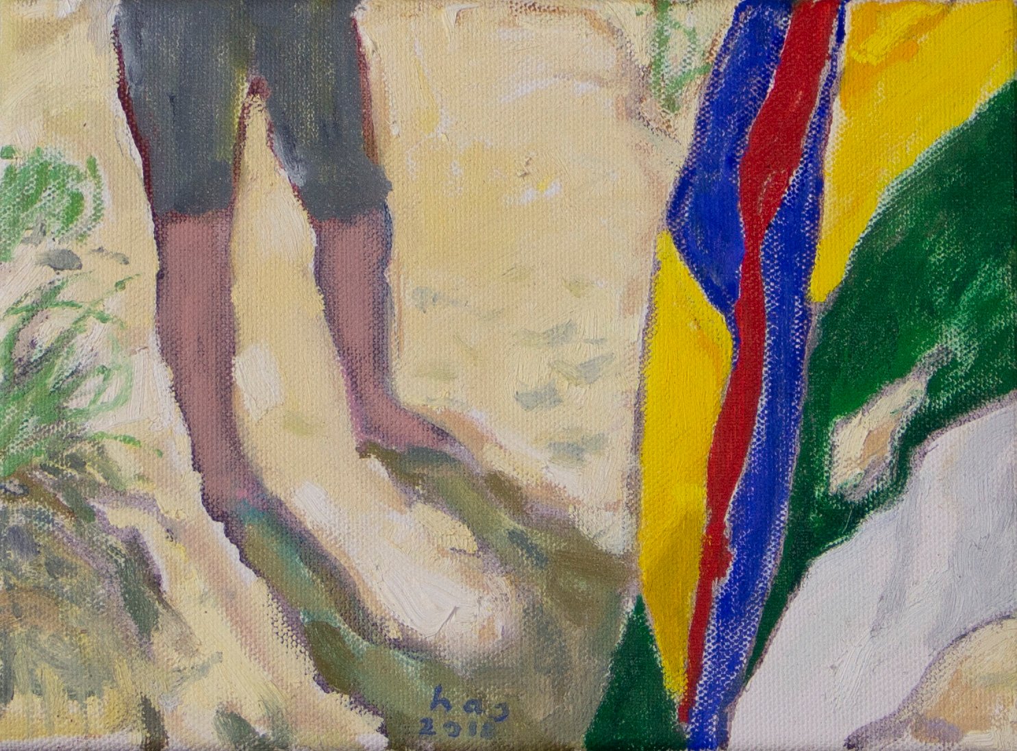 Werk van Hans Arnout Swart