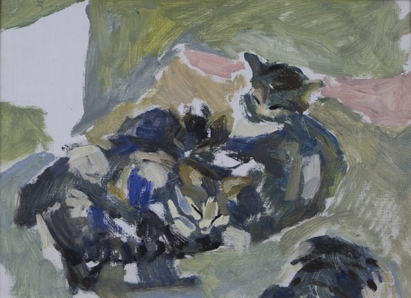 Werk van Hans Arnout Swart