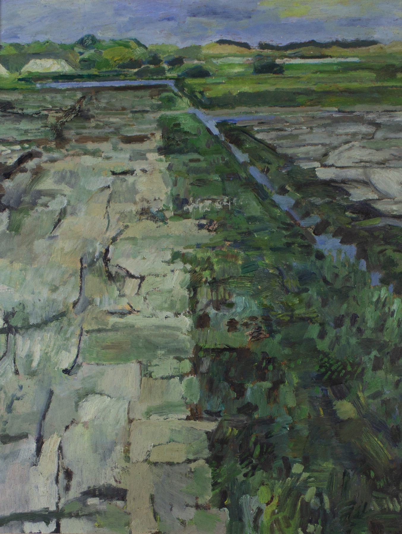 Werk van Hans Arnout Swart