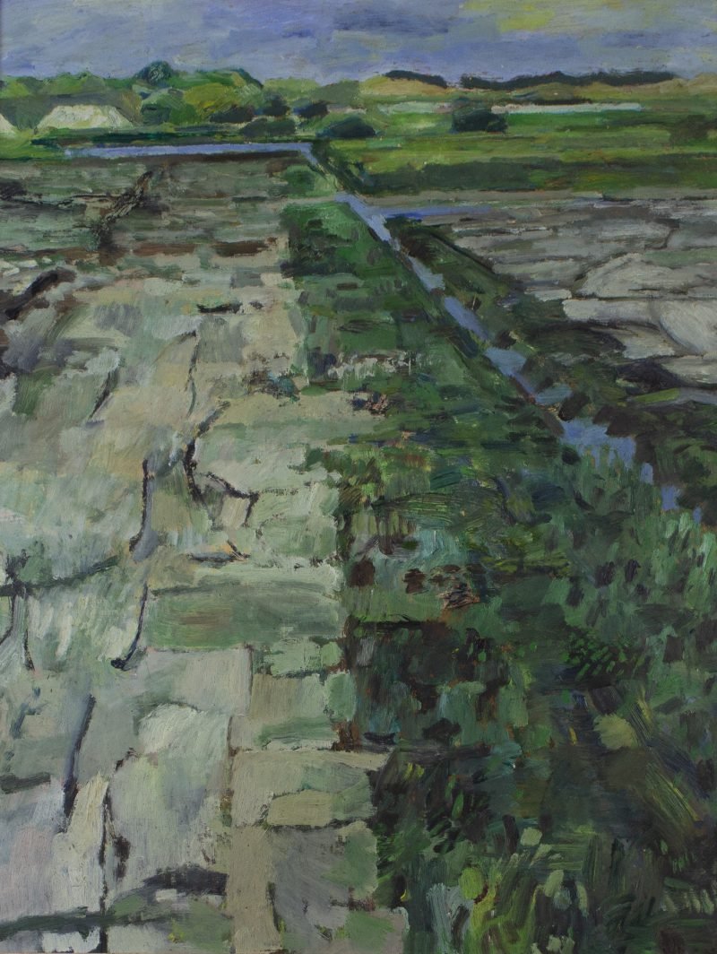 Werk van Hans Arnout Swart