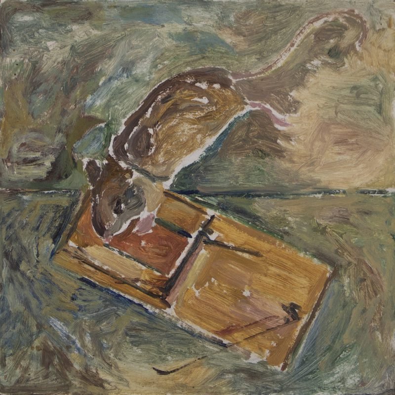 Werk van Hans Arnout Swart