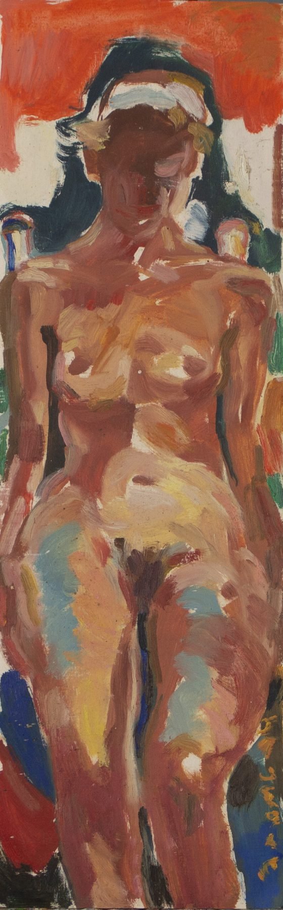 Werk van Hans Arnout Swart