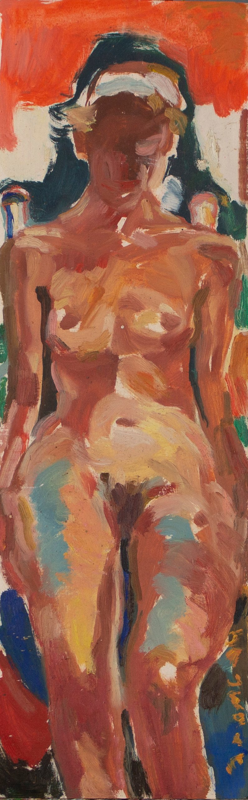Werk van Hans Arnout Swart