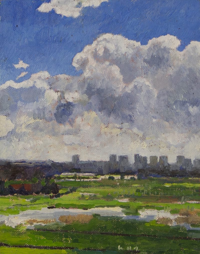 Werk van Hans Arnout Swart