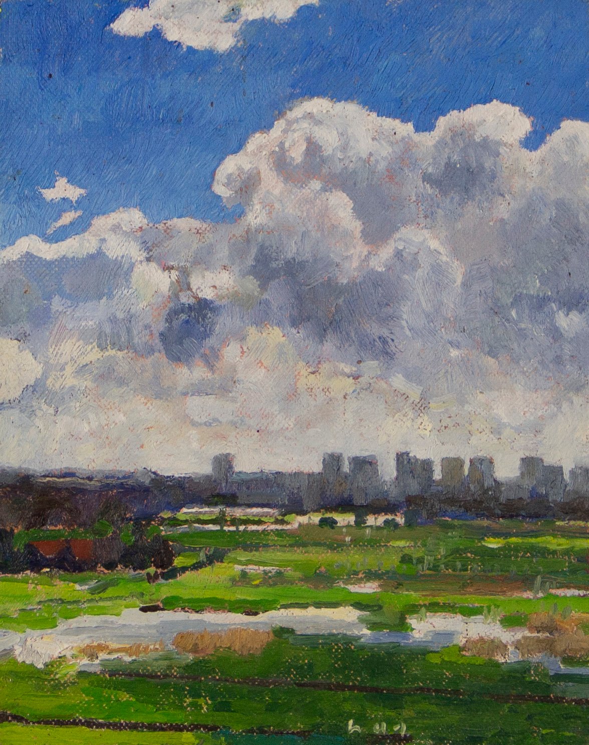 Werk van Hans Arnout Swart