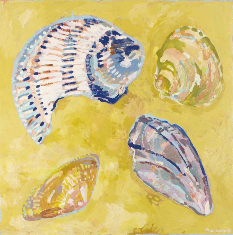 Werk van Hans Arnout Swart