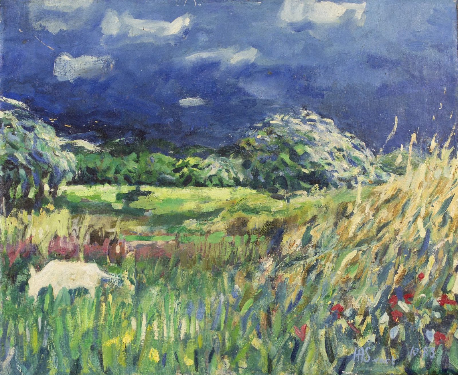 Werk van Hans Arnout Swart