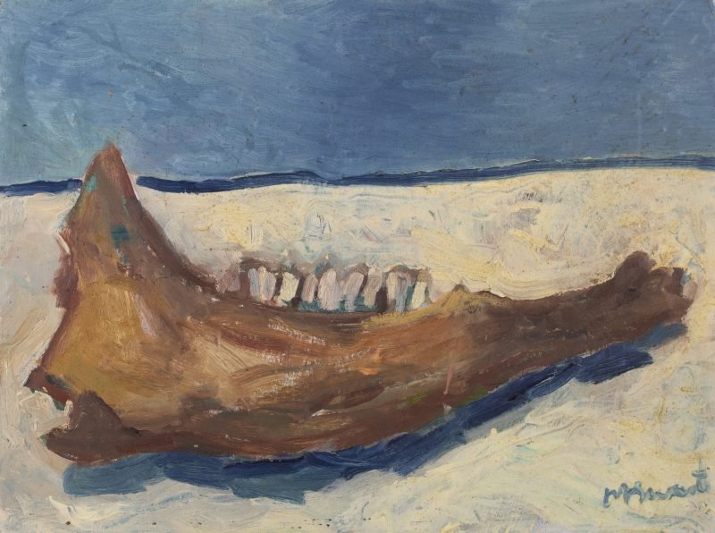 Werk van Hans Arnout Swart