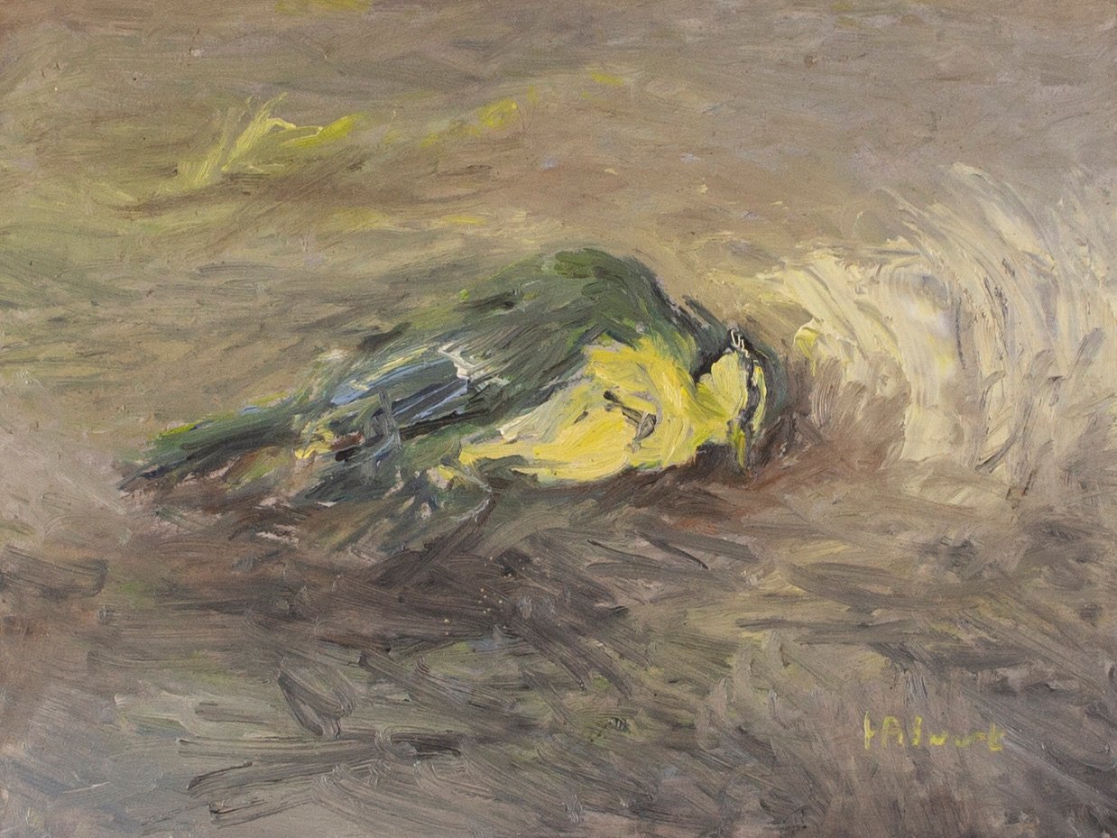 Werk van Hans Arnout Swart