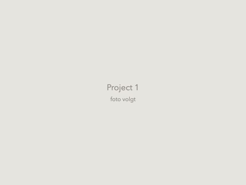 Project 1