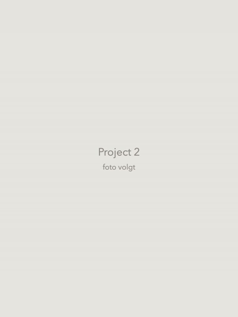 Project 2