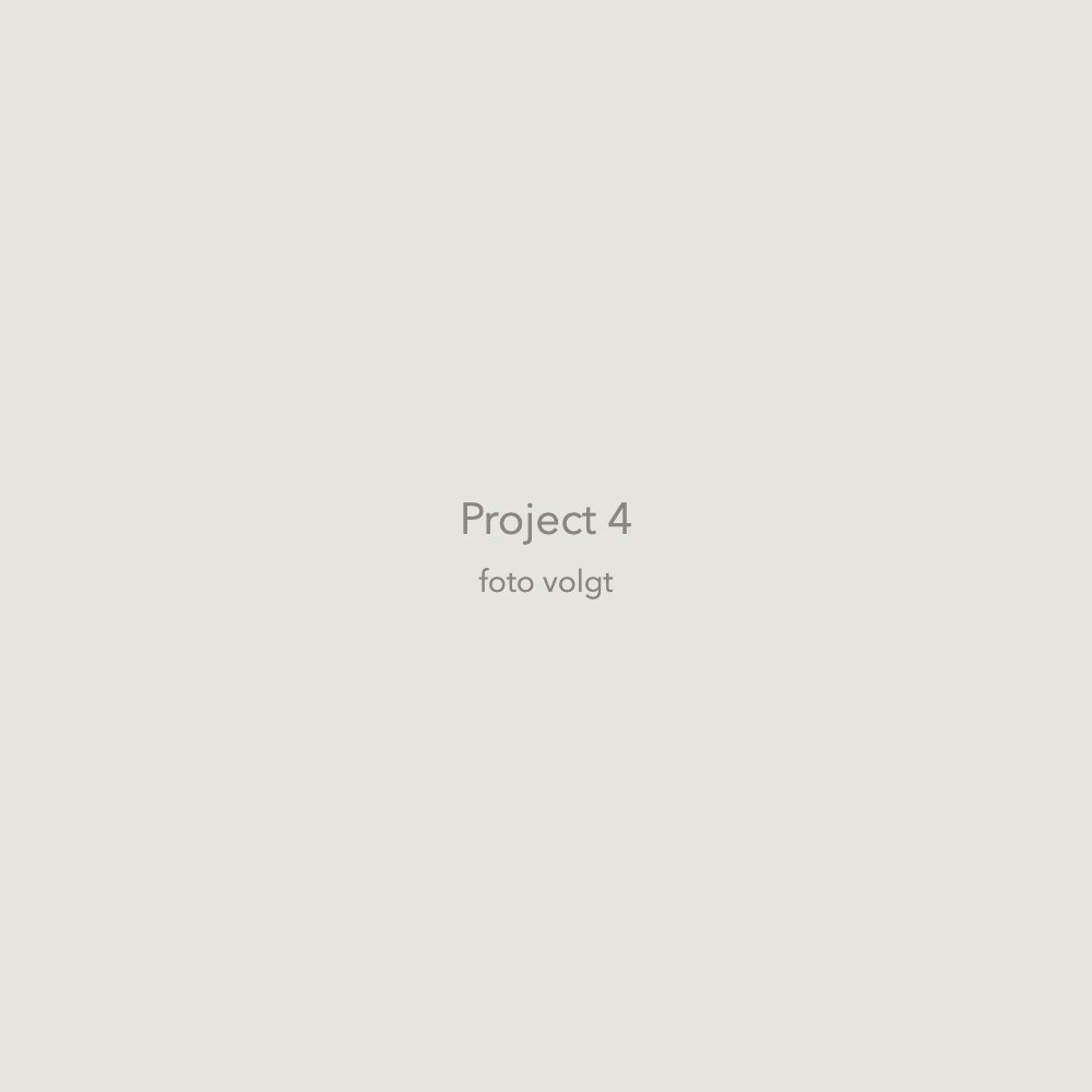 Project 4